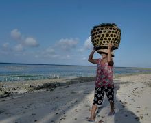 BRI Bantu Klaster Usaha Rumput Laut Semaya di Nusa Penida Naik Kelas - JPNN.com