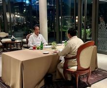 Prabowo dan Jokowi Bertemu, Dasco: Paling Tidak Bicara Transisi Kepemimpinan - JPNN.com