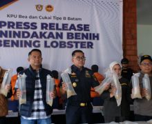 Bea Cukai Gagalkan Penyelundupan Ratusan Ribu Benih Lobster Tujuan Malaysia - JPNN.com