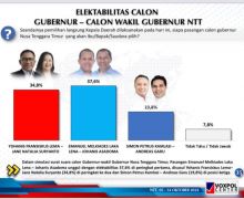 Survei Voxpol: Elektabilitas Emanuel Mekiades Laka Lena-Johanis Asadoma Moncer - JPNN.com