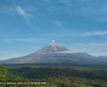 Hari Ini Gunung Semeru Kembali Erupsi, Letusan Setinggi 500 meter - JPNN.com