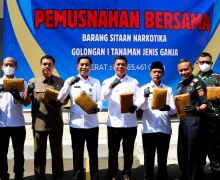 Bea Cukai dan BNNP Musnahkan Barang Bukti Ganja Hasil Penindakan di Cilegon - JPNN.com