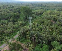 PLN UIP MPA Bangun 577 Tower Transmisi 150 kV, Tambah Pasokan Listrik di Halmahera - JPNN.com