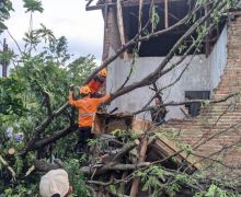 Belasan Rumah di Bondowoso Rusak Diterjang Angin Puting Beliung - JPNN.com