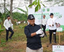 Pj Gubernur Kaltim Akmal Malik Tanam Kakao di Berau Coal - JPNN.com