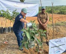 Bantu Tekan Emisi Karbon, Sanf & Asuransi Astra Tanam 600 Pohon di Penajam Paser Utara - JPNN.com