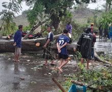 Tertimpa Pohon Tumbang di Gowa, Pengendara Motor Meninggal Dunia - JPNN.com