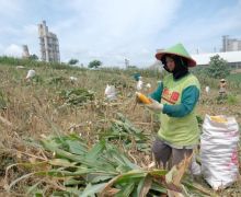 Lewat Program SGSP, SIG Tingkatkan Kesejahteraan Petani di Rembang - JPNN.com