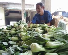 Petani Kecil Mulai Rasakan Efek Gerakan Boikot Restoran Waralaba yang Dianggap Terafiliasi Israel - JPNN.com