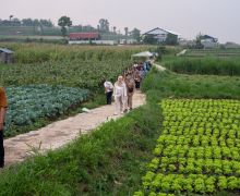 Dukung Ketahanan Pangan, IsDB & IFAD Kembangan Pertanian Dataran Tinggi - JPNN.com