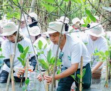 Tanam Mangrove di PIK & Kedonganan, B. Braun Indonesia Rogoh Kocek Ratusan Juta Rupiah - JPNN.com