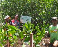 Lestarikan Bangau Bluwok, Pertamina Patra Niaga Regional JBB Tanam 3.750 Mangrove di Pulau Rambut - JPNN.com