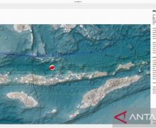 Gempa M 4,1 Guncang Kota Maumere, Tidak Berpotensi Tsunami - JPNN.com