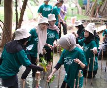 Peringati Hari Pohon Sedunia, MSGLOW Beauty Tanam Mangrove di PIK  - JPNN.com