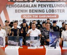 Bareskrim Gagalkan Penyelundupan 151 Ribu Benih Lobster di Bintan - JPNN.com