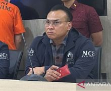 Interpol Ungkap 5 Pintu Imigrasi yang Kerap Dipakai Buronan Internasional - JPNN.com