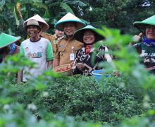 Gaungkan Urban Farming, Dr. Nurdin Berkomitmen Perkuat Ketahanan Pangan Jaga Inflasi - JPNN.com