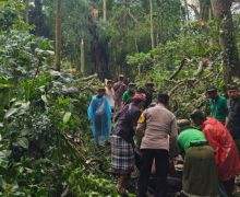 Pohon Tumbang Menewaskan 2 WNA di Ubud - JPNN.com