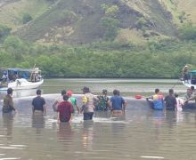 Paus 15 Meter yang Terdampar di Ngada NTT Digiring ke Laut Lepas - JPNN.com