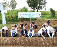 TJSL PELNI Resmikan Desa Mandiri Penghasil Sayur di Cianjur - JPNN.com