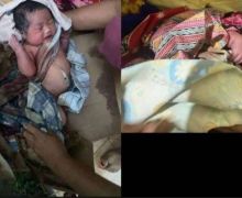 Bayi Perempuan Dibuang di Kebun Warga Trenggalek - JPNN.com