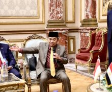 Parlemen Indonesia-Mesir Sepakat Dukung Kemerdekaan Palestina - JPNN.com