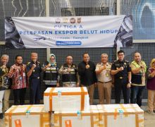 Bea Cukai Melepas Ekspor 13 Ribu Ekor Belut Sawah Hidup Asal Banjarmasin ke Tiongkok - JPNN.com