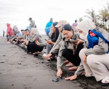 Pelepasan Tukik untuk Edukasi dan Konservasi Satwa Laut - JPNN.com