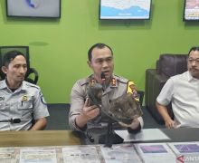 Kasus Kecelakaan di Tol Pandaan-Malang, Polisi Tetapkan Sopir Truk jadi Tersangka - JPNN.com