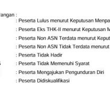 Honorer Bingung dengan Kode Kelulusan PPPK Tahap 1, Penjelasan BKN Bisa Membantu - JPNN.com