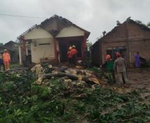 2 Desa di Jepara Dilanda Puting Beliung, 21 Rumah Rusak - JPNN.com