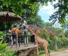 Pungli Parkir di Kebun Binatang Bandung, Bus Pariwisata Digetok Tarif Rp 150 Ribu  - JPNN.com