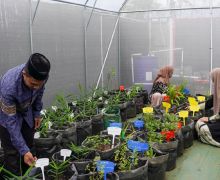 Resmikan Greenhouse, KEHATI Dorong Pelestarian Tanaman Herbal di Ponpes - JPNN.com