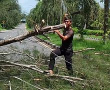 2 Warga Meninggal Tertimpa Pohon Tumbang di Pangkalpinang - JPNN.com