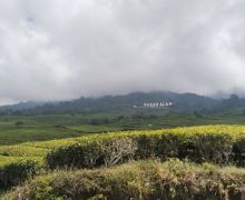 Diduga Hipotermia, Pendaki Asal Bengkulu Meninggal di Puncak Gunung Dempo - JPNN.com