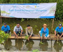 PLN Indonesia Power Dukung Taman Mangrove Festival 2024 di Ketapang Urban Aquaculture - JPNN.com