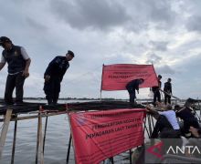 Pagar Laut Terpasang Tanpa Izin, Aparat Hukum Diduga Masuk Angin - JPNN.com