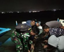 TNI AL Dikerahkan Untuk Cari Buaya yang Lepas dari Penangkaran di Pulau Bulan - JPNN.com