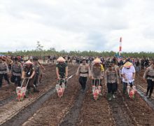 Polda Kalteng Tanam Jagung di Lahan 1.200 Hektare Untuk Dukung Asta Cita - JPNN.com