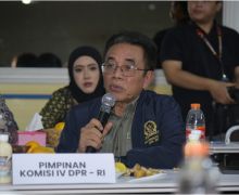 Tanggapi Pagar Laut, Panggah Susanto DPR: Pelanggaran Atas Kepemilikan KKPRL Diancam Hukuman Pidana - JPNN.com