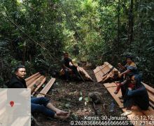 7 Warga Jabar Ditangkap di Riau Gegara Merusak Hutan Lindung SM Rimbang Baling - JPNN.com