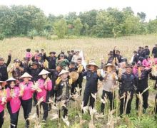 Panen Raya Jagung, Brimob Polda Jateng Ingin Berkontribusi Mendukung Program Prabowo - JPNN.com