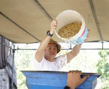 Angkat Budaya Kopi Lewat Rediscover Indonesia in Every Cup - JPNN.com