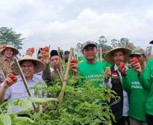 Pertanian Hortikultura Itikurih di Garut Tumbuhkan Ekonomi Mandiri Masyarakat - JPNN.com