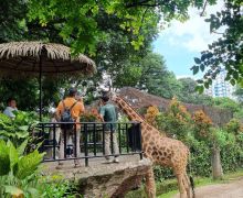 Begini Nasib Kebun Binatang Bandung Seusai Disita Kejaksaan - JPNN.com