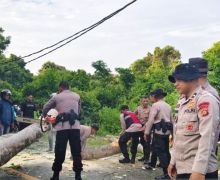 Seorang Pelajar Tewas Tertimpa Pohon Tumbang di Gilimanuk - JPNN.com