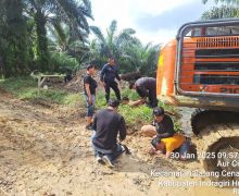 Polisi Tangkap Penggarap Hutan Lindung di Inhu, 1 Orang Jadi Tersangka - JPNN.com