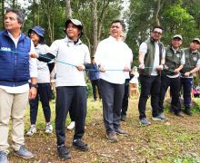 Menhut Lepasliarkan 2 Elang Ular Bido di Gunung Gede Pangrango - JPNN.com