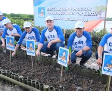 ACC Tanam Seribu Bibit Mangrove di Denpasar - JPNN.com