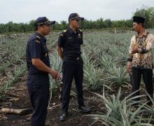 Dukung Pemberdayaan UMKM, Bea Cukai Ajak Bank Indonesia dan BSI Berkolaborasi - JPNN.com